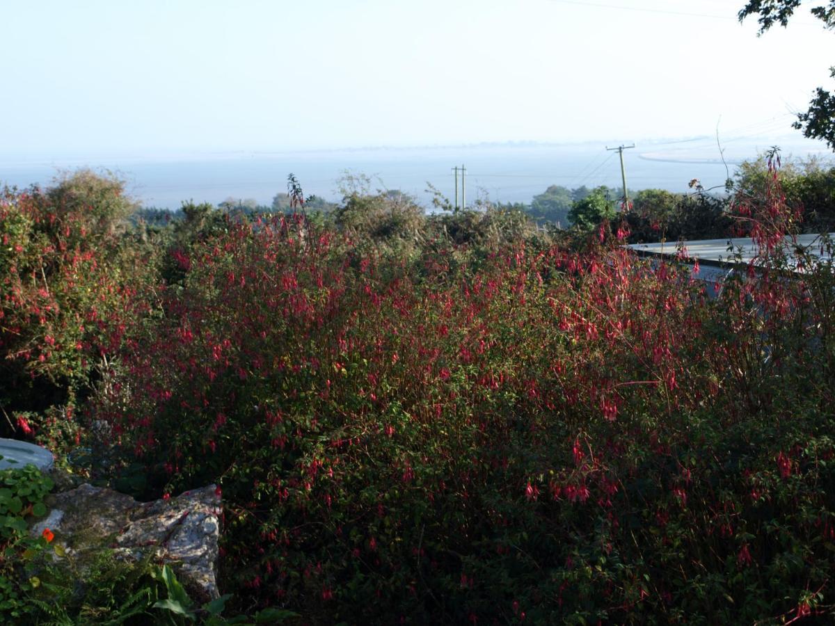 웩스퍼드 Ocean View B&B 외부 사진
